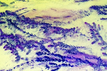 N 152